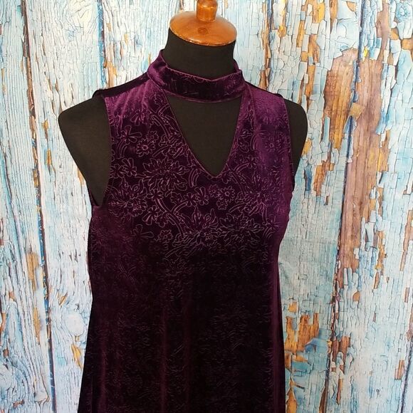 Altar'd State Embossed Velour Dress - Picture 4 of 15